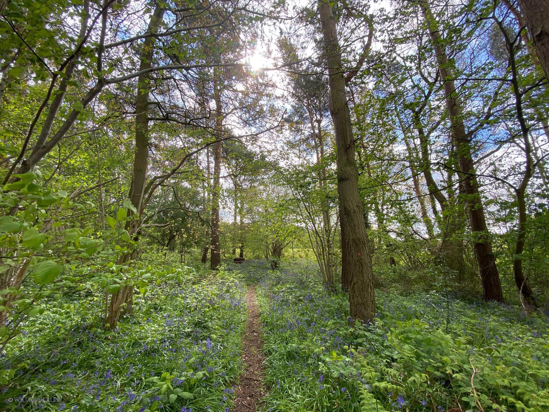 Landscapes photograph 23