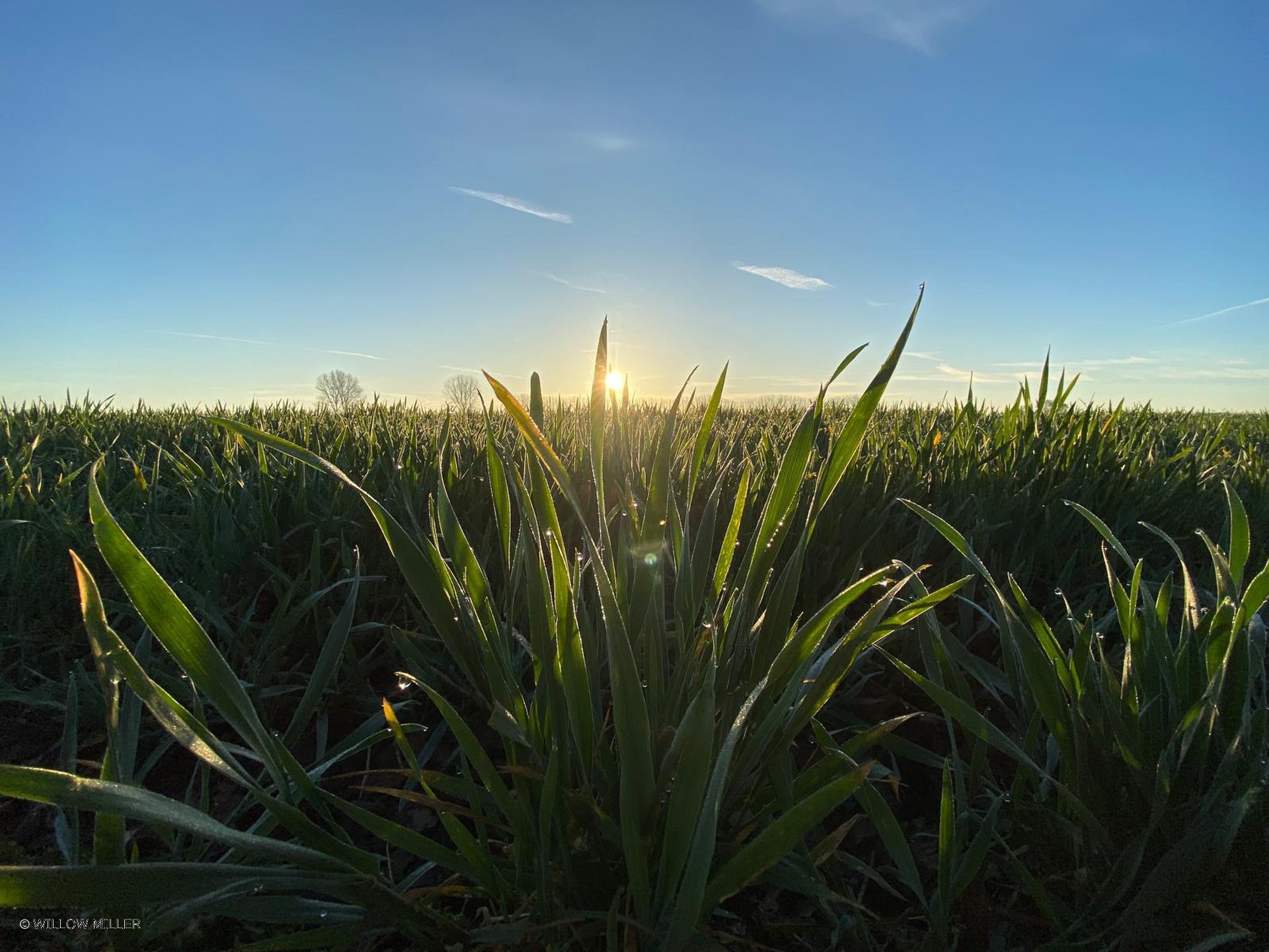 Landscapes photograph 7