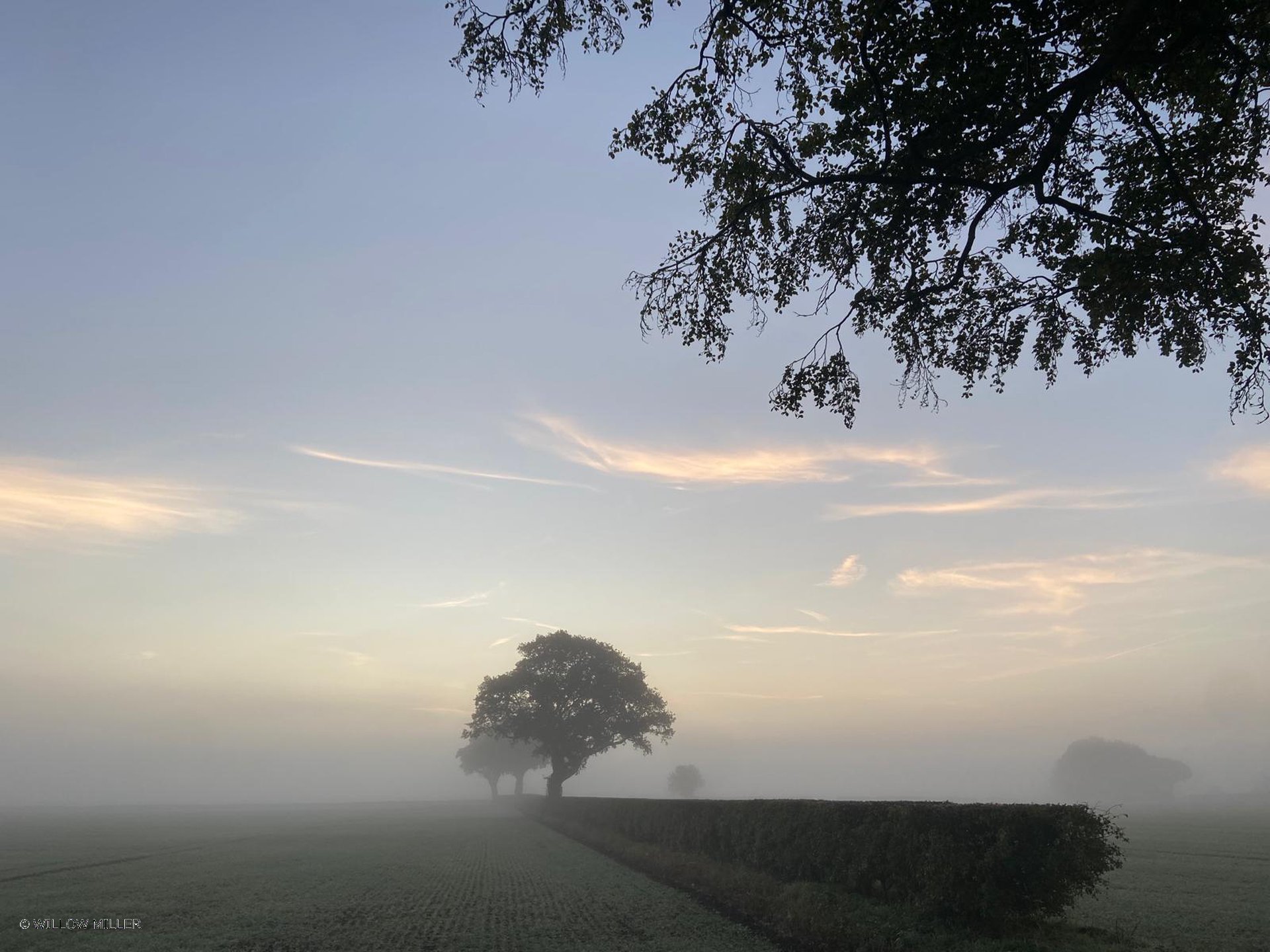 Landscapes photograph 9