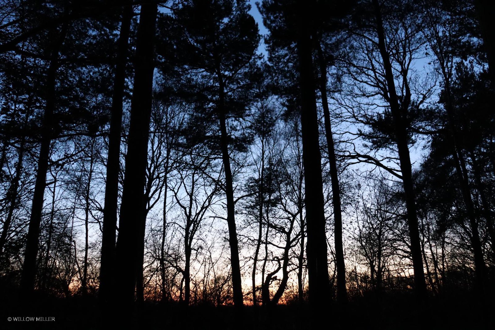 Landscapes photograph 22