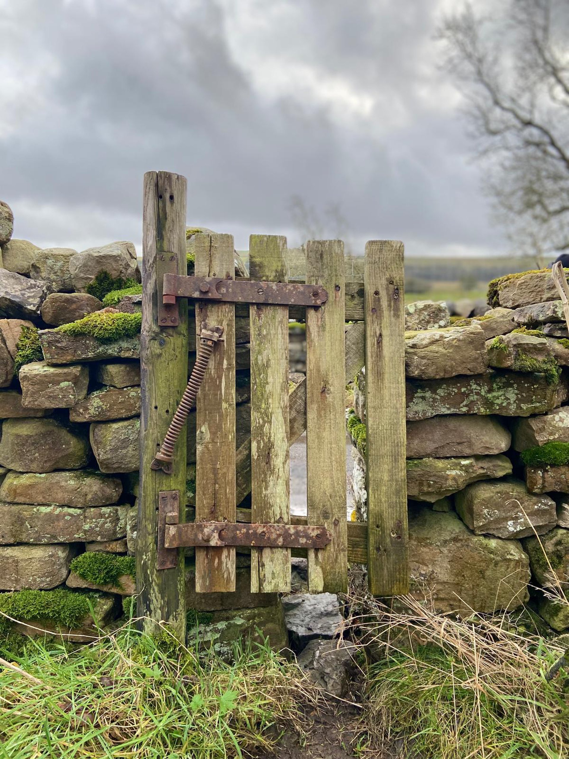 Landscapes — cover photograph