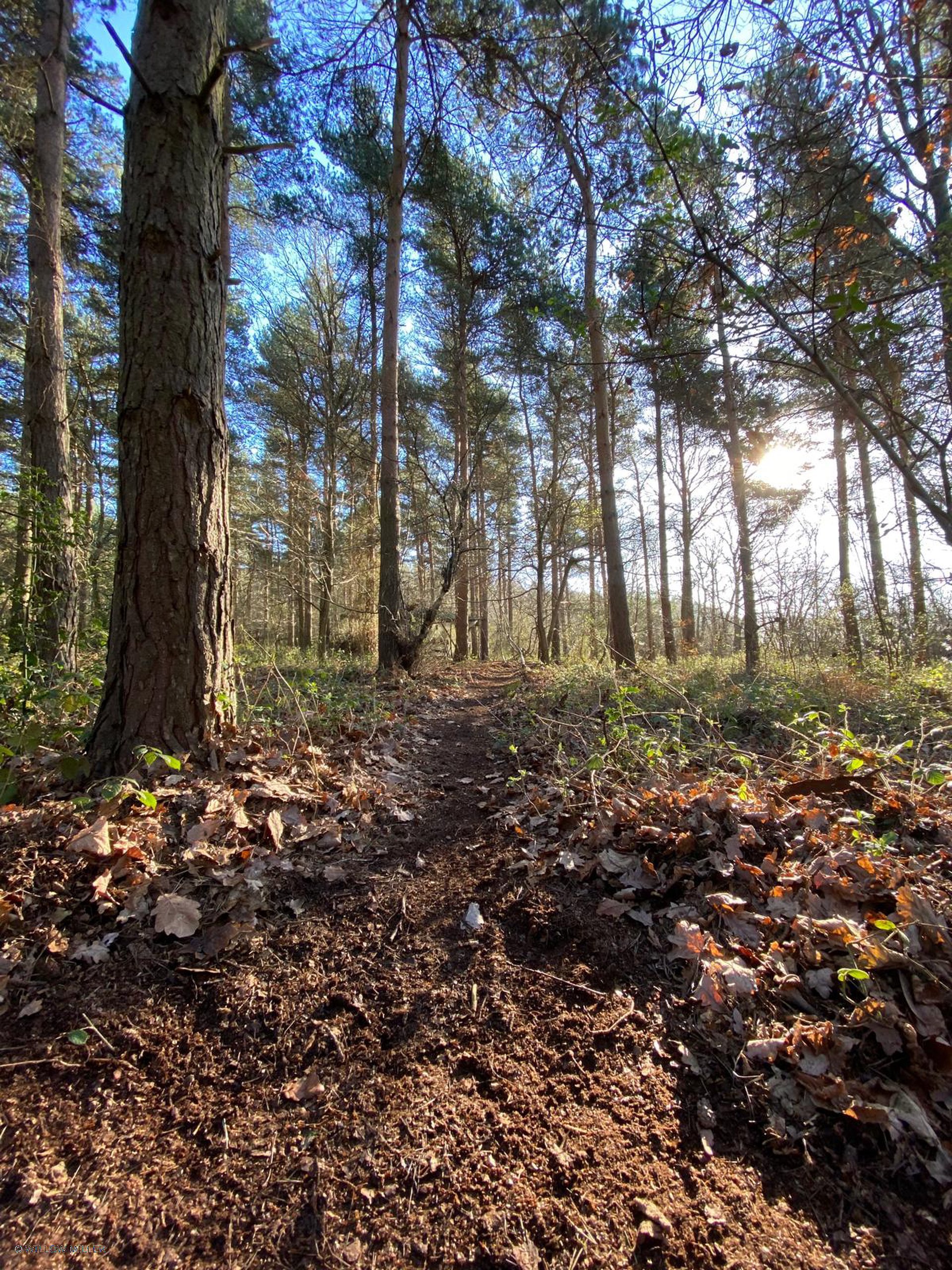 Landscapes photograph 21