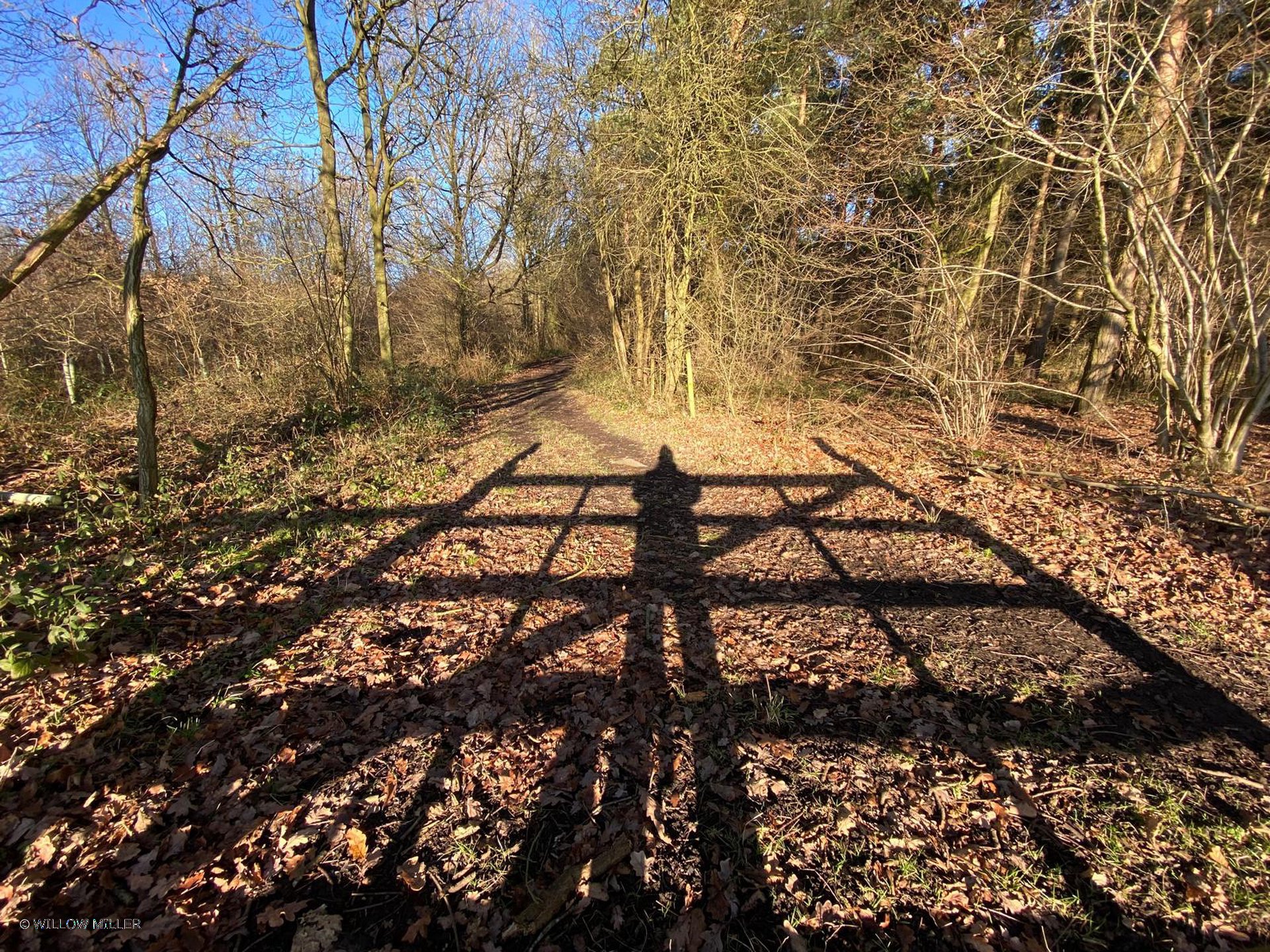 Landscapes photograph 17