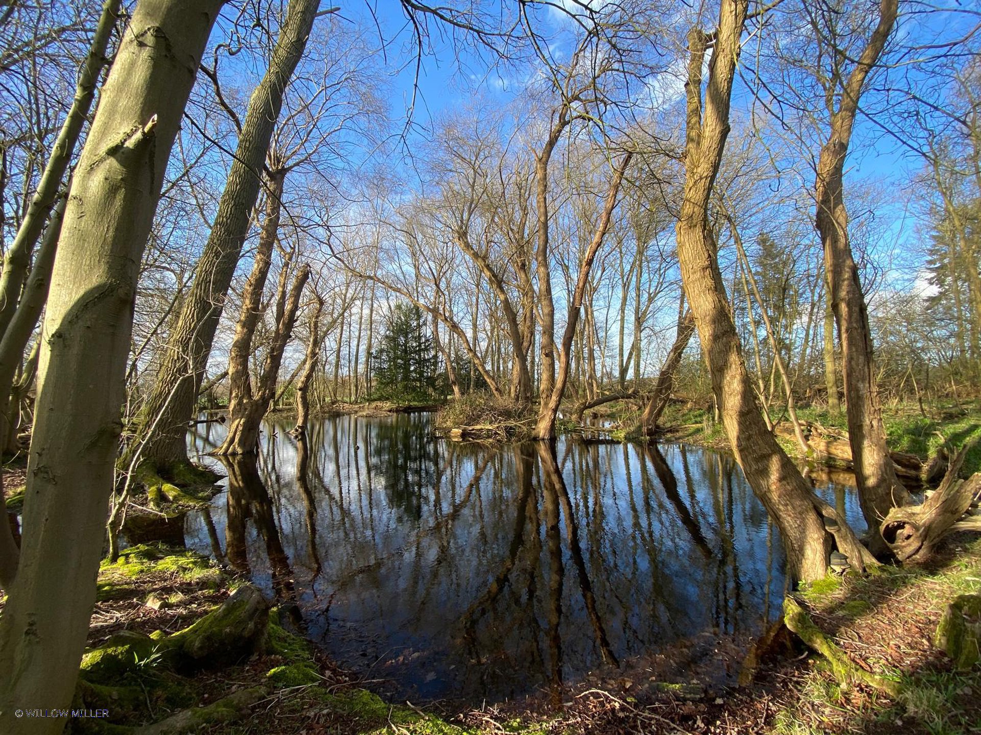 Landscapes photograph 18