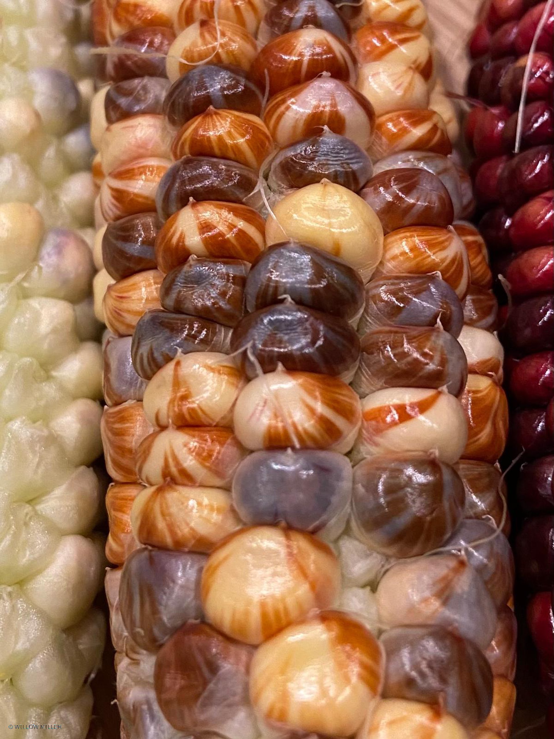 Small details photograph 23