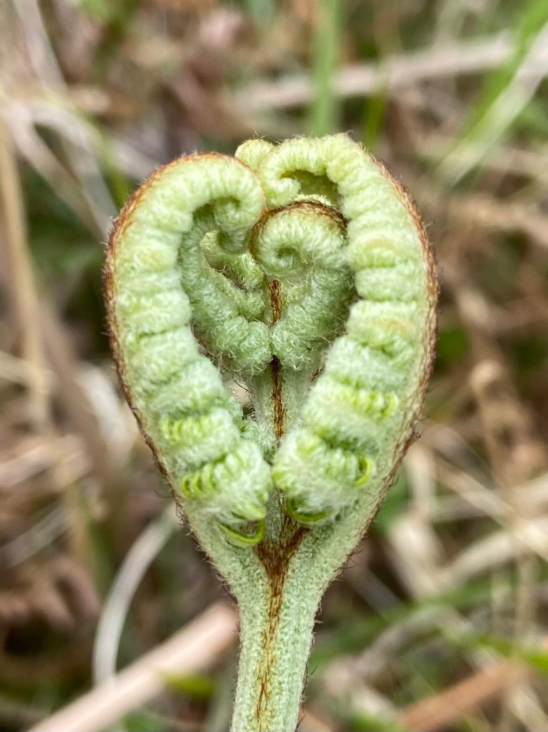 Small details — cover photograph