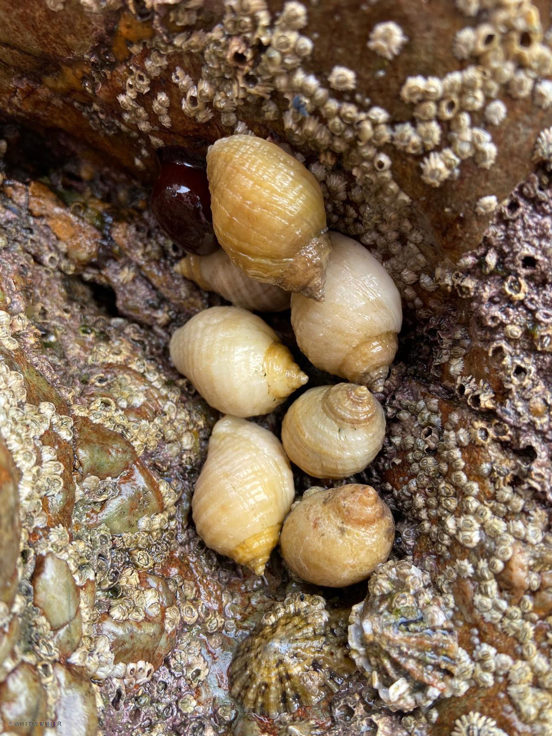 Small details photograph 19