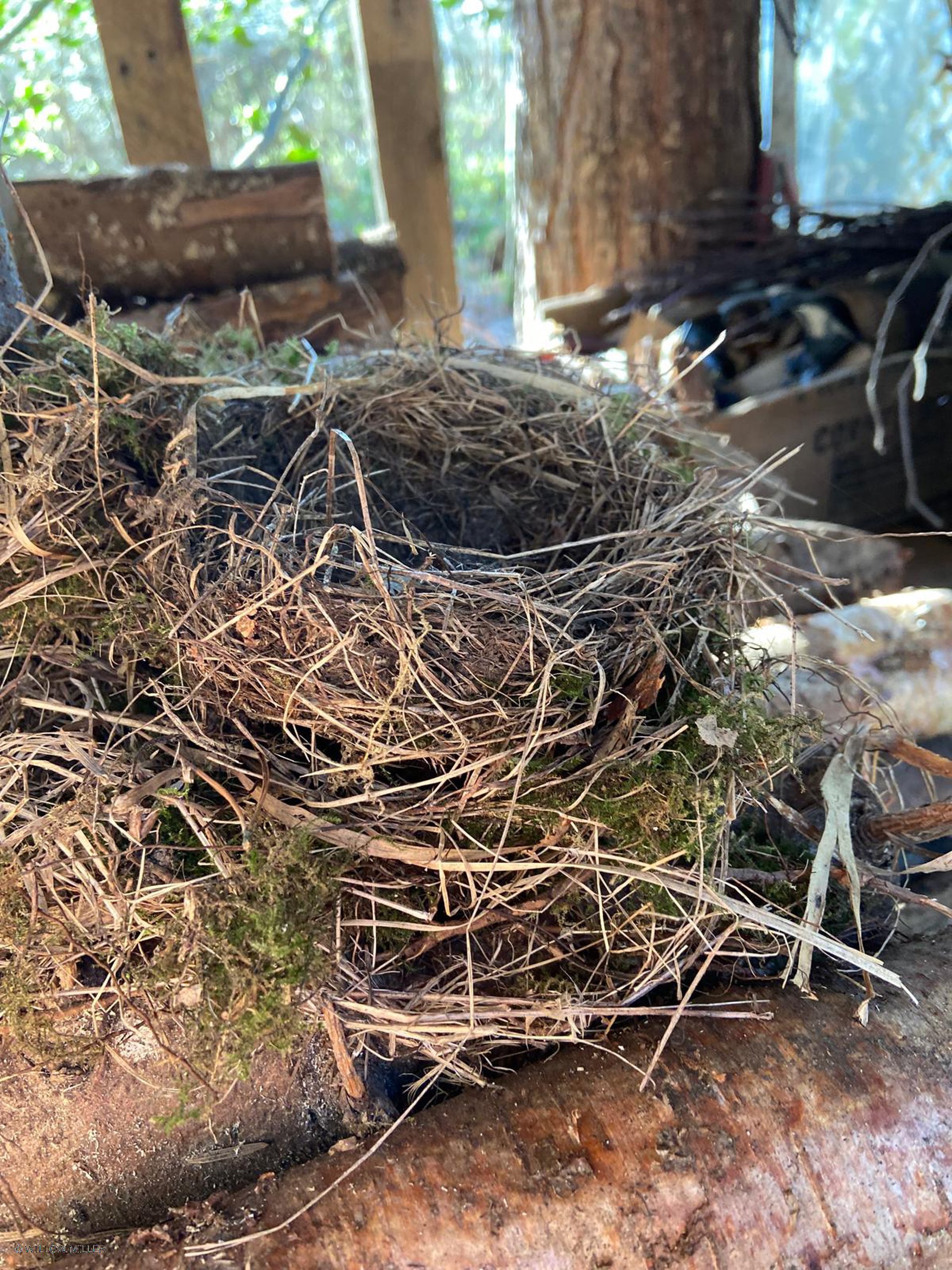 Small details photograph 5